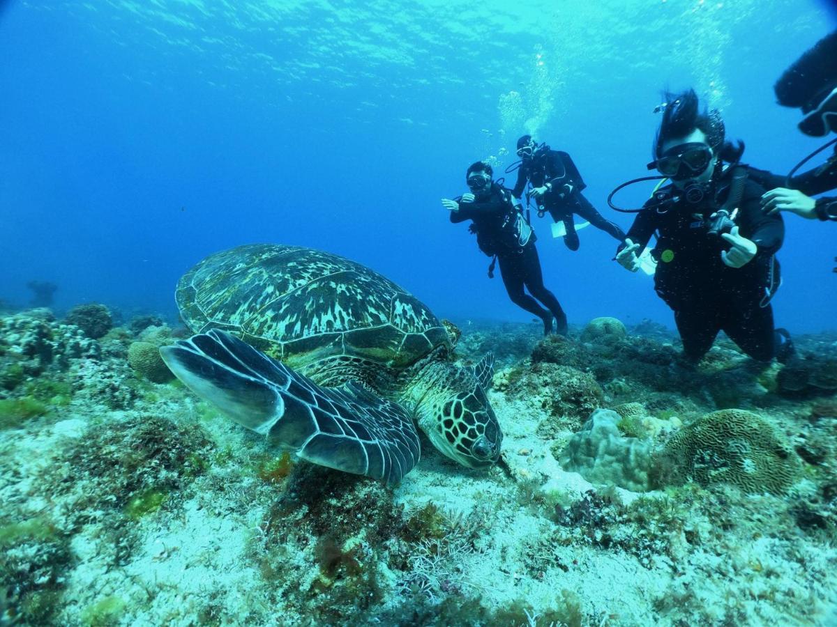 Stay Liuqiu Diving Hostel Hsziaoliucsiu Kültér fotó